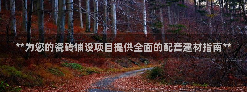 杏鑫平台代理注册流程