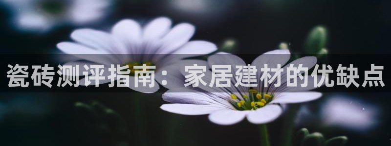 杏鑫娱乐官方网站客户端下载