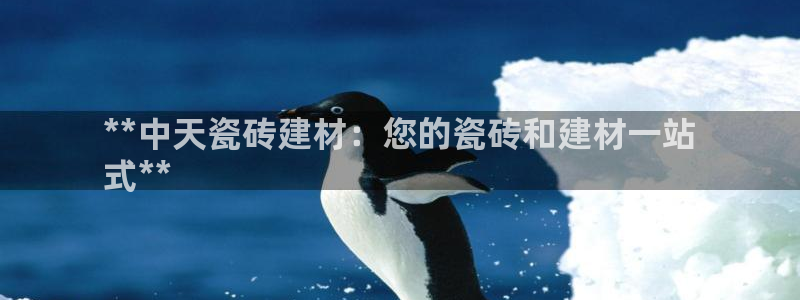 杏鑫平台靠谱吗