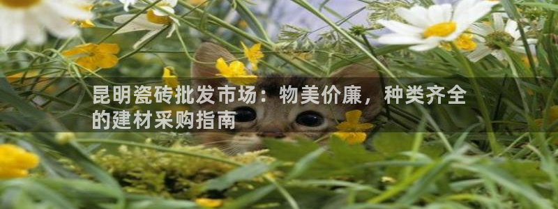 杏鑫娱乐官网登录不了