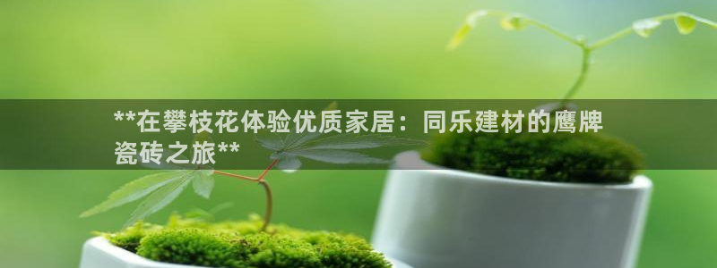 杏鑫平台招商电话号码是多少