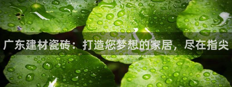 杏鑫平台是黑平台吗