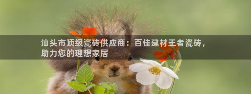 杏鑫官网注册账号是什么