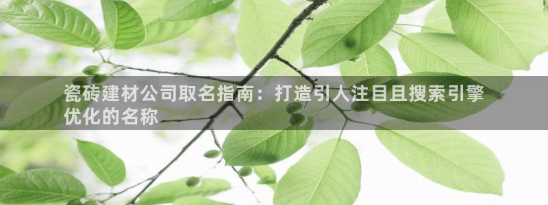 杏鑫3主管