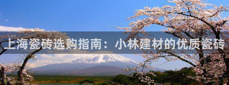 杏鑫平台登录注册