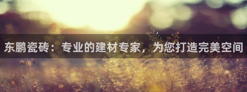 杏鑫平台代理注册流程及费用