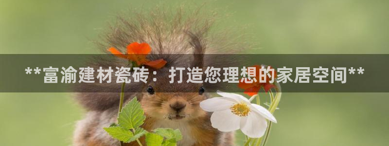 杏鑫娱乐平台测速怎么样
