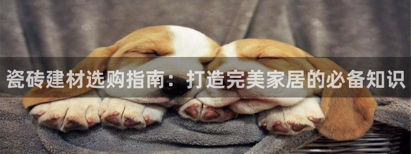 杏鑫娱乐是真的吗