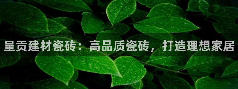 杏鑫平台直属