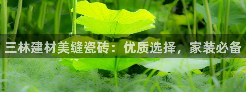 杏鑫娱乐官网首页