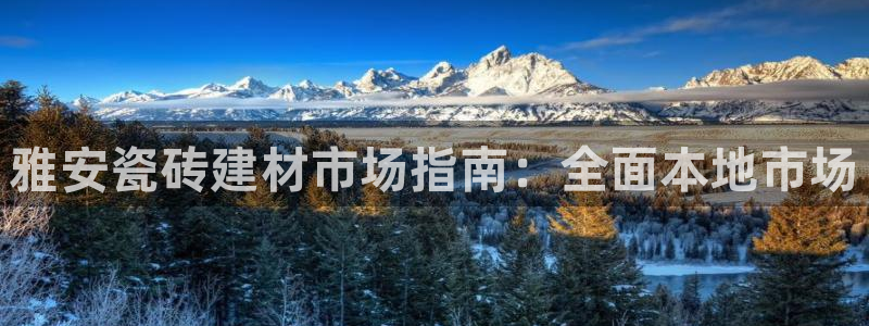 杏鑫娱乐是真的吗