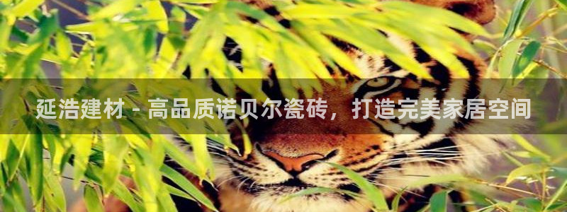 杏鑫平台怎么样知乎
