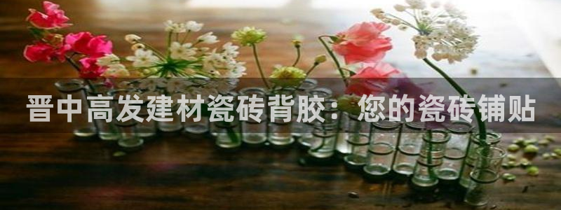杏鑫平台招商电话号码查询