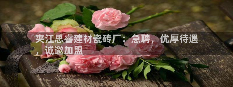 杏鑫平台招商怎么样啊