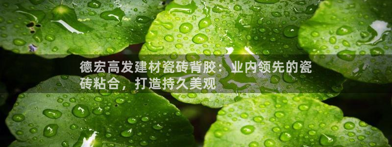 杏鑫娱乐平台