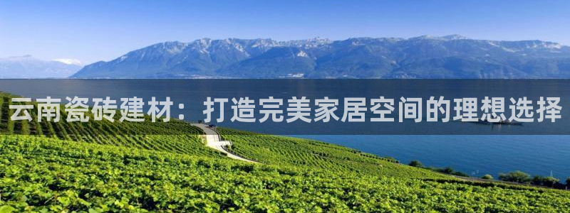 杏鑫有亏损返点吗