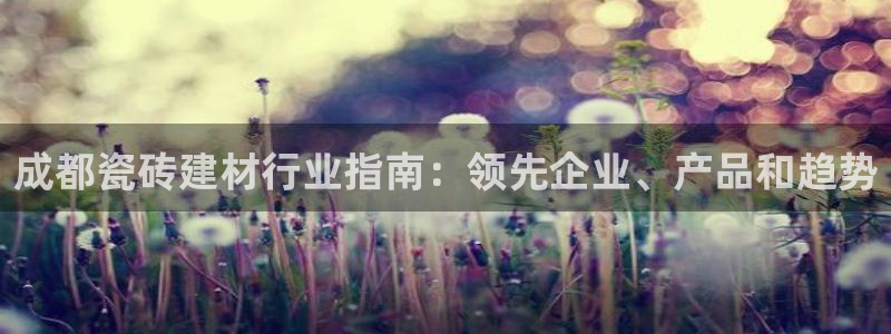 杏鑫平台代理怎么做的