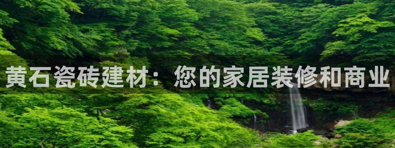 杏鑫3主管