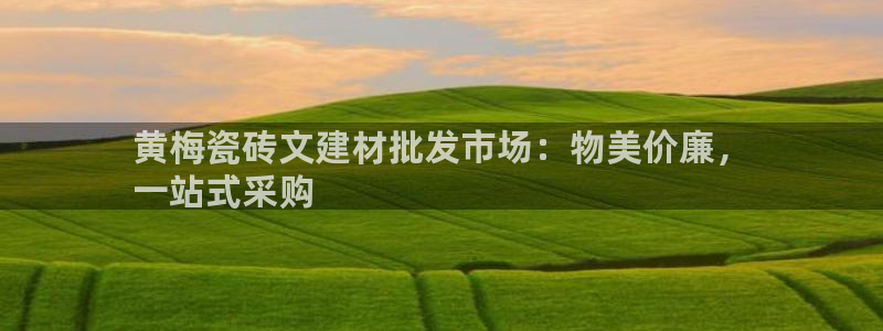 杏鑫手机客户端怎么下载