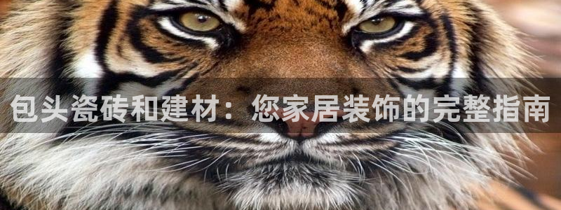 杏鑫平台怎么样黑钱吗安全吗可靠吗