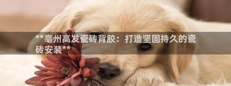 杏鑫平台登陆