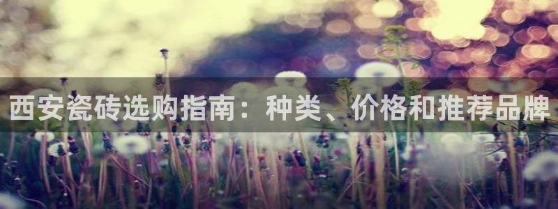 杏鑫平台招商电话号码是多少