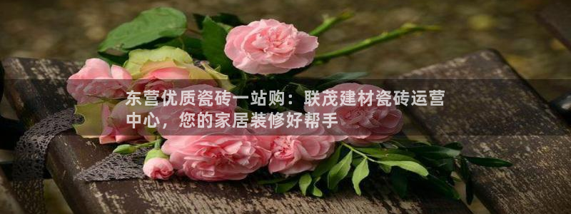 杏鑫注册登录代理公司