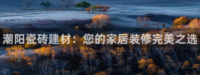 杏鑫平台注册地址在哪里