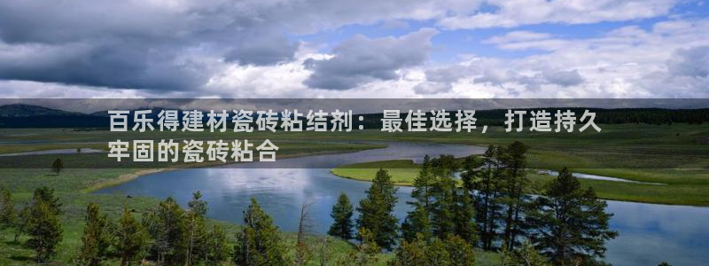杏鑫官方平台怎么样啊可靠吗