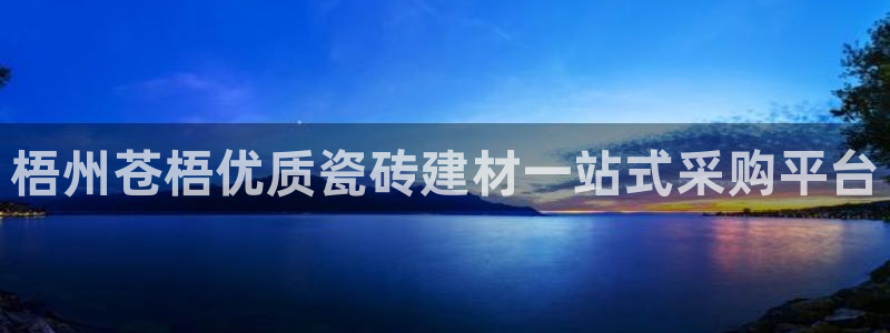 杏鑫代理注册资金多少