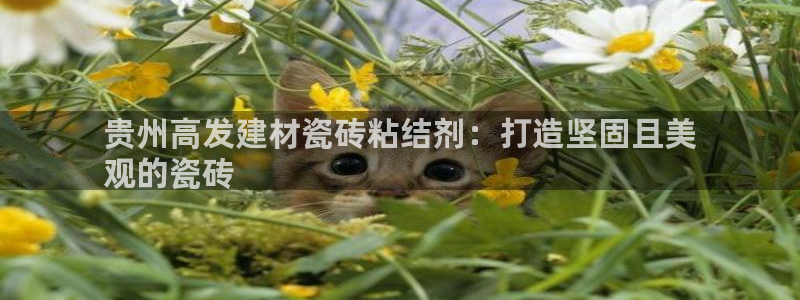 杏鑫平台注册网址是什么