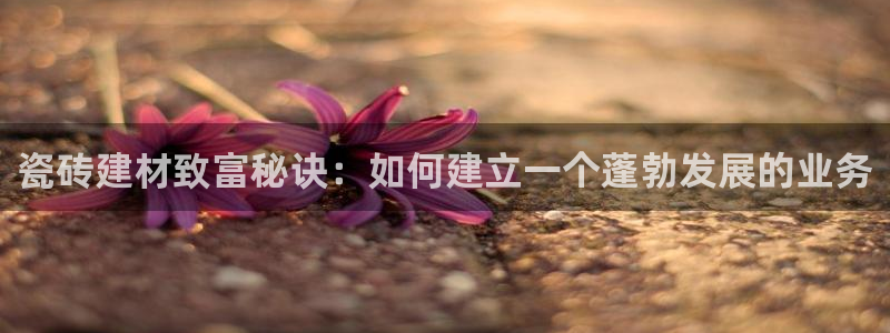 杏鑫平台怎么样黑钱吗是真的吗知乎