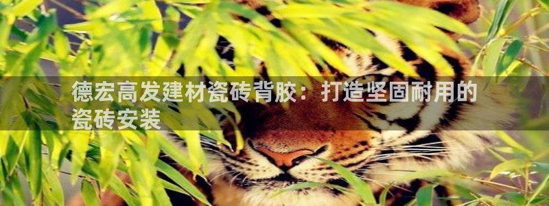 杏鑫娱乐平台登录注册网站