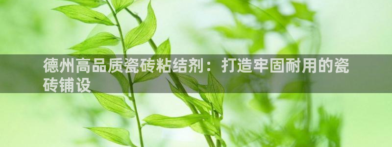杏鑫主管