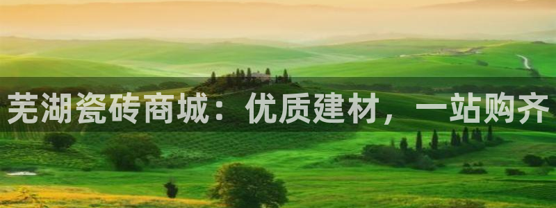 杏鑫主管