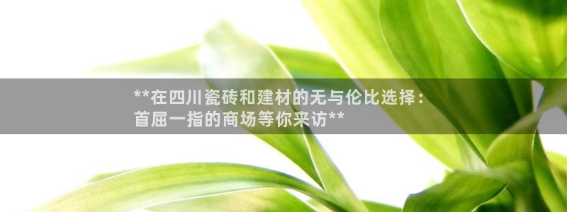 杏鑫主管