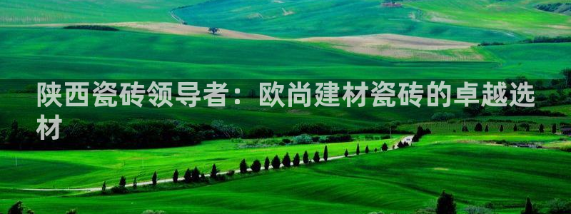 杏鑫官网最新信息新闻报道