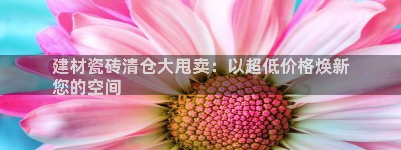 杏鑫平台代理怎么做