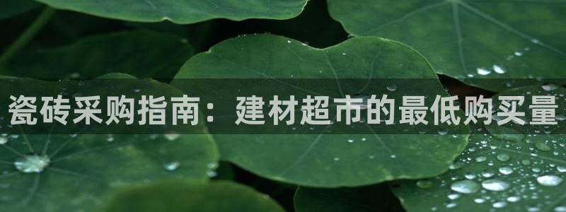 杏鑫平台代理注册多少钱一年