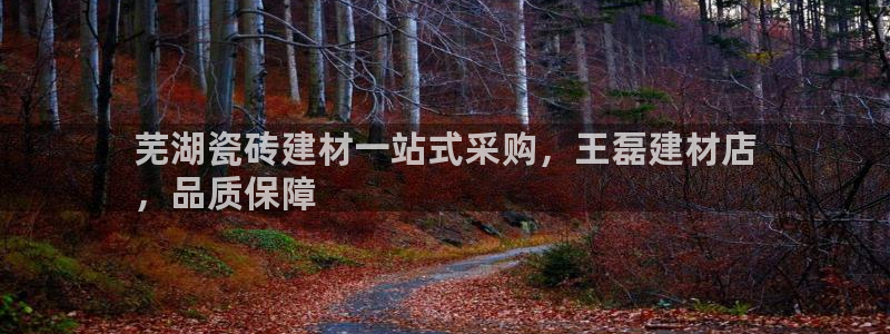 杏鑫平台代理注册流程图