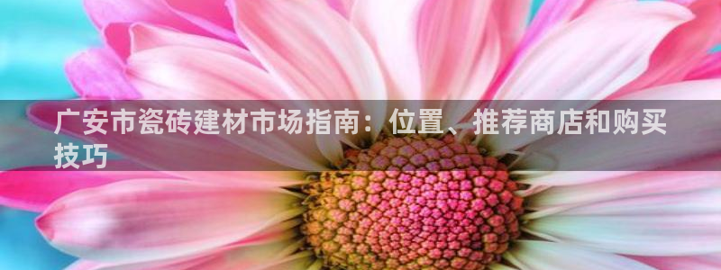 杏鑫平台代理注册要钱吗