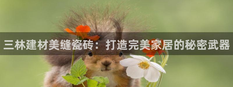 杏鑫娱乐多少年了