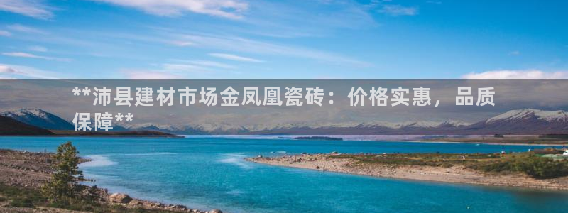 杏鑫主管