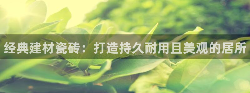 杏鑫平台代理