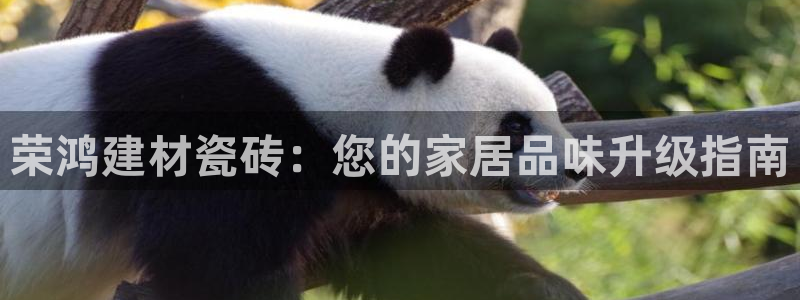 杏鑫平台代理怎么样可靠吗