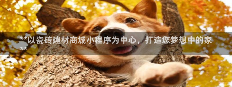 杏鑫平台正规吗可信吗