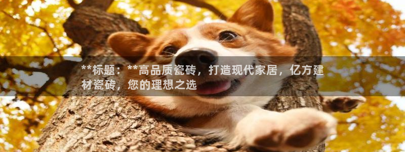 杏鑫娱乐靠谱吗