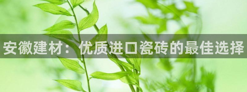 杏鑫平台代理注册多少钱一年