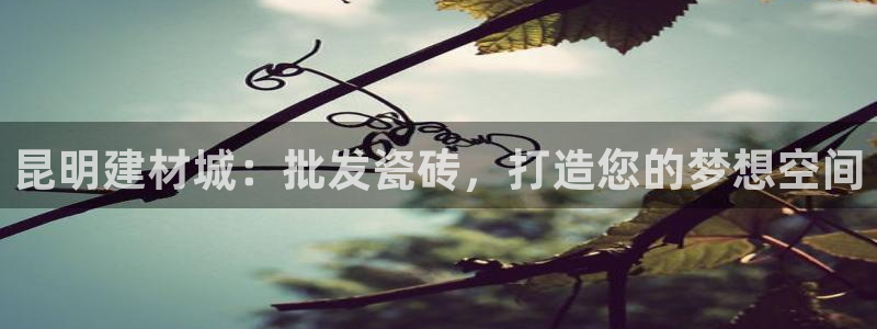 杏鑫官网注册账号密码是多少