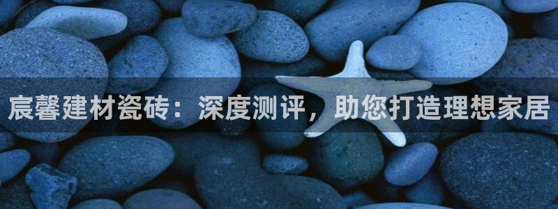 杏鑫官网